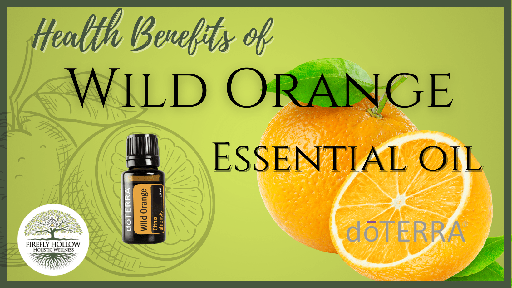 Wild Orange Essential Oil Health Benefits – Firefly Hollow Wellness