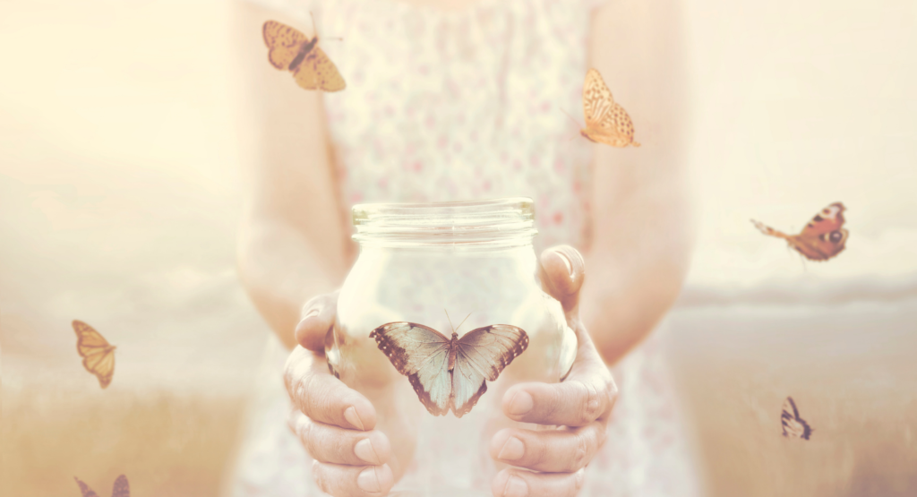 hands holdng a jar with butterfly
